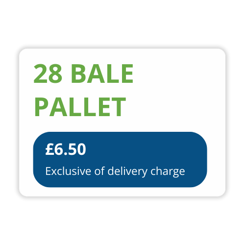 Shop ELITE Animal Bedding